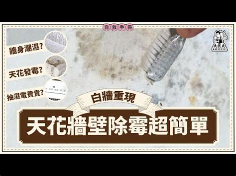 天花板發毛|【天花板發毛】天花板發毛怎麼辦？不用砂紙不用濕紙巾，1招輕。